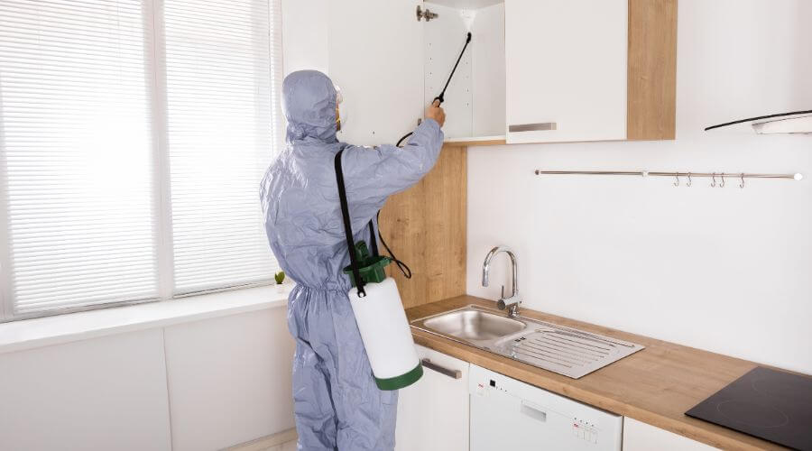 Professional rodent exclusion services in The River Area - Rodent Exclusion The River Area
